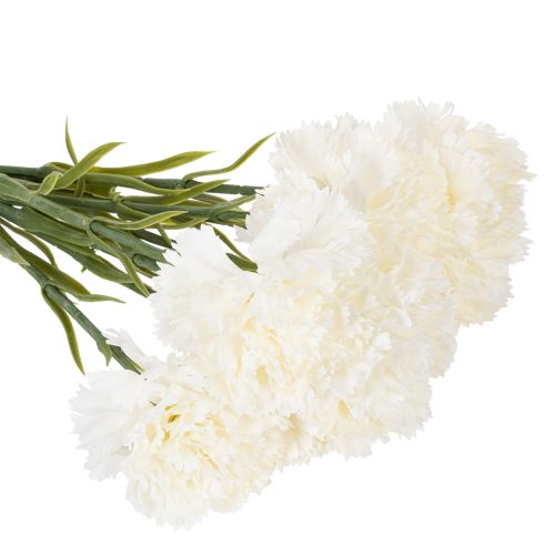 Műszegfű szárral csokrokhoz és koszorúkhoz, 56 cm, 8 darab | Floristik24.hu