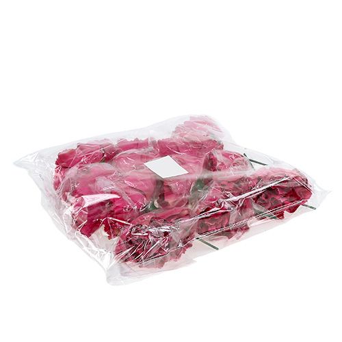 Floristik24 Szegfű Pink Ø9cm L11cm 12 db