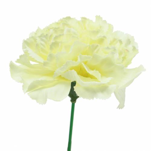 Floristik24 Szegfű virág fehér Ø9cm 12db