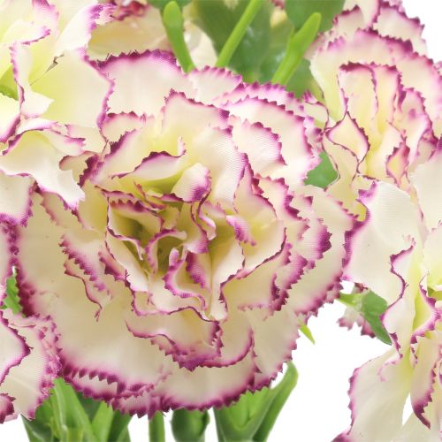 Floristik24 Szegfű Fehér-Lila 64cm 4 db