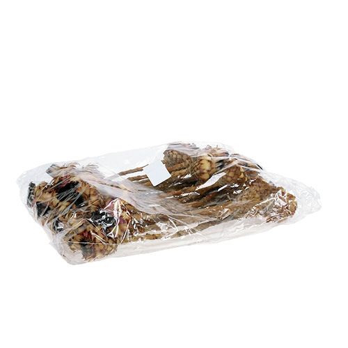 tételeket Nerifolia Bud 25 db