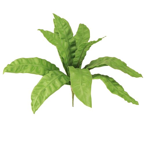 tételeket Fészekpáfrány műnövények zöld színben 5,5×22cm 2db