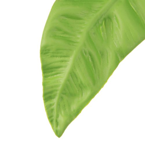 tételeket Fészekpáfrány műnövények zöld színben 5,5×22cm 2db