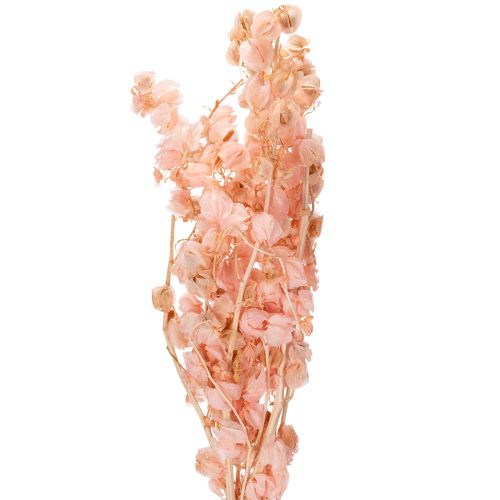 A szárított virágszár romantikus hangulatot teremt bármely nappaliban (75 cm)