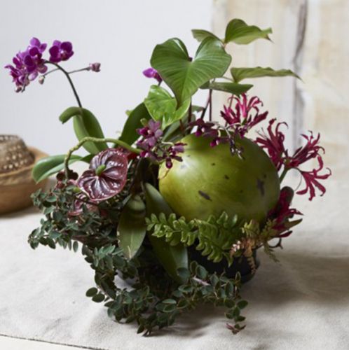 Floristik24 Dugó moha henger dugó mérete fekete Ø28cm H5cm 2db