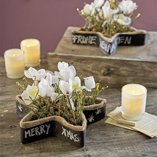 tételeket Nedves virágos habcsillag kompozíciókhoz 25 x 25 x 4,5 cm