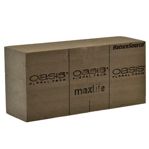 Floristik24 Oasis NatureSource Maxlife virágos habtégla barna 23×11×7,5 cm 1 db