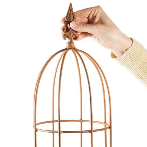 tételeket Kerti rács, kúszónövényekhez és más futónövényekhez, ideális kerttervezés, 108 cm, 2 darabos szett.