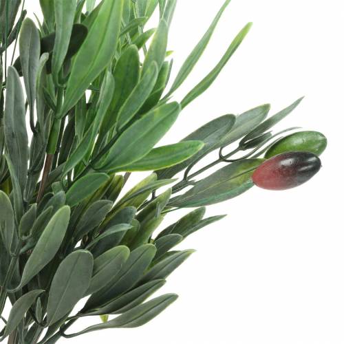 Floristik24 Mesterséges Oliva Branch Green 27cm 7 szál