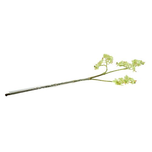Floristik24 Orchidea 97cm világoszöld