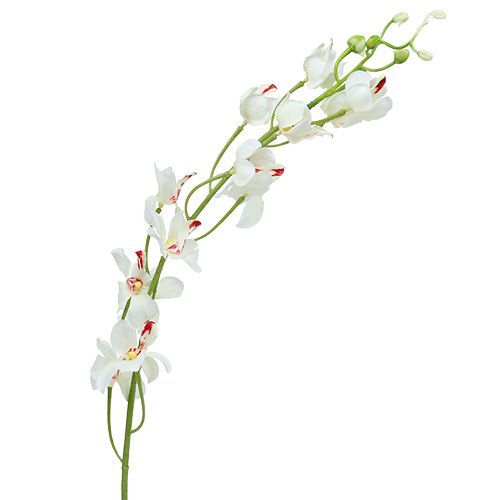 Floristik24 Orchidea Mokara White 92cm 3db