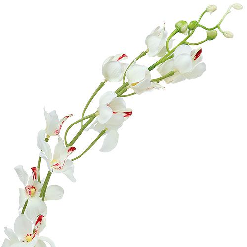 tételeket Orchidea Mokara White 92cm 3db