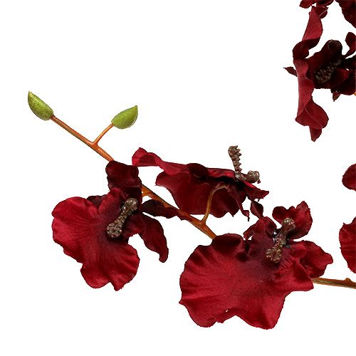 tételeket Orchid Oncidium 70cm sötétvörös 3db