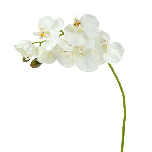 Floristik24 Orchidea fehér mű L73cm 4db