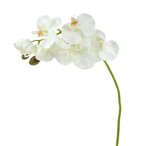 Orchidea fehér mű L73cm 4db