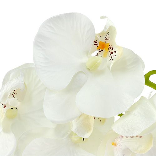 tételeket Orchidea fehér mű L73cm 4db