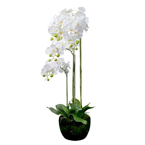 Floristik24 Orchidea fehér gömbbel 110cm