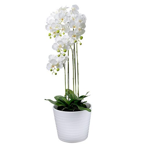 Floristik24 Orchidea fehér gömbbel 110cm