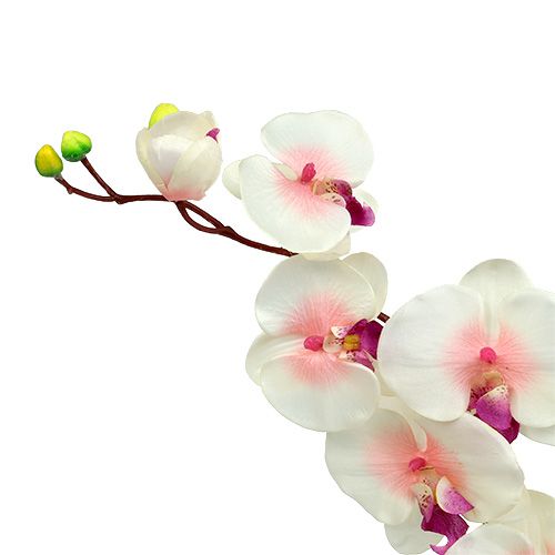 Floristik24 Orchidea 2 ággal 60cm fehér-rózsaszín
