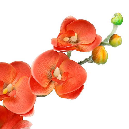 Floristik24 Orchidea két ág 60cm narancs