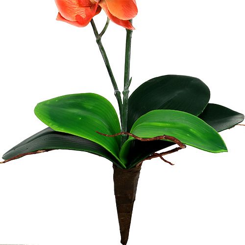 Floristik24 Orchidea két ág 60cm narancs