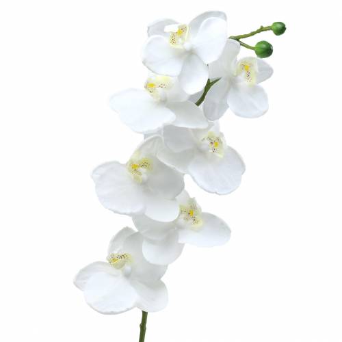 Floristik24 Mesterséges orchidea művirág fehér Ø6,5-8cm 77cm