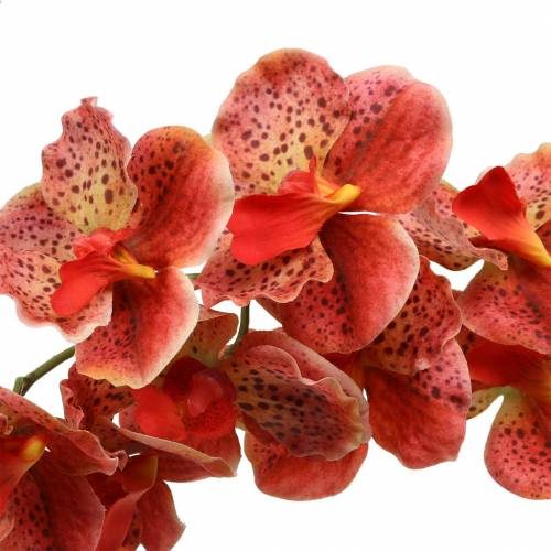 tételeket Mesterséges orchidea Phaelaenopsis Red, Narancs H81cm