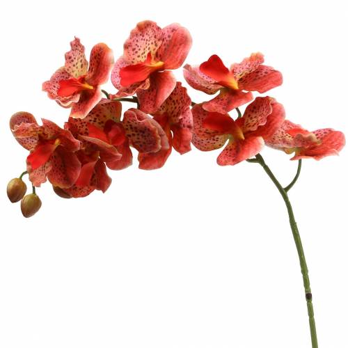 Floristik24 Mesterséges orchidea Phaelaenopsis Red, Narancs H81cm