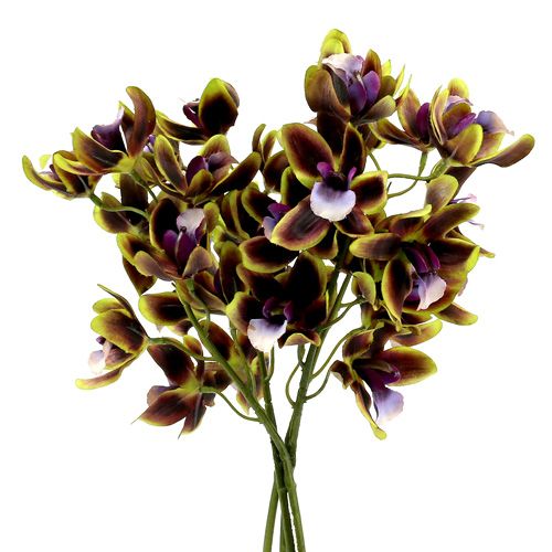 Floristik24 Orchid Cymbidium Green, Purple L38cm 4db