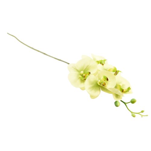 tételeket Orchidea Artificial Yellow Green Phalaenopsis 85cm