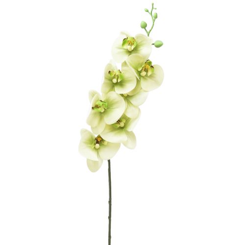 Floristik24 Orchidea mesterséges sárga zöld Phalaenopsis L83cm
