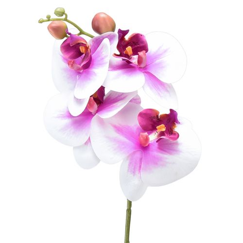 Orchidea mesterséges Phalaenopsis 4 virág fehér rózsaszín 72cm