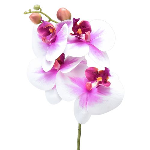 Floristik24 Orchidea mesterséges Phalaenopsis 4 virág fehér rózsaszín 72cm