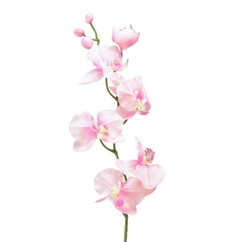 Floristik24 Orchidea Phalaenopsis mesterséges 6 virág rózsaszín 70cm