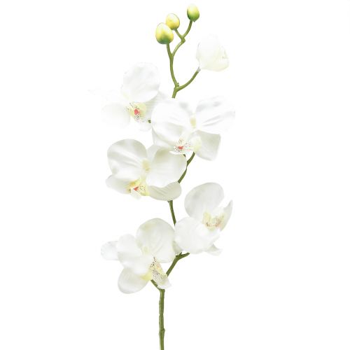 Orchidea Phalaenopsis mesterséges 6 virágú fehér krém 70cm