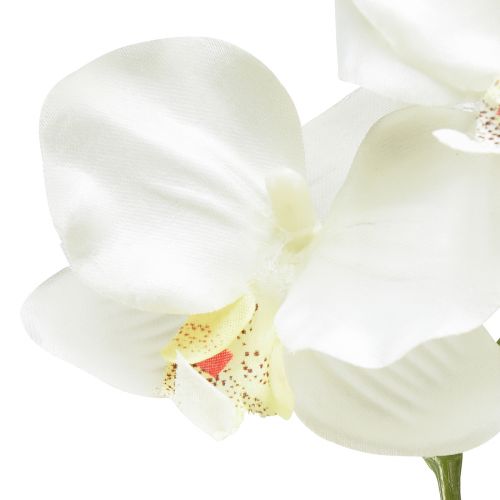 tételeket Orchidea Phalaenopsis mesterséges 6 virágú fehér krém 70cm