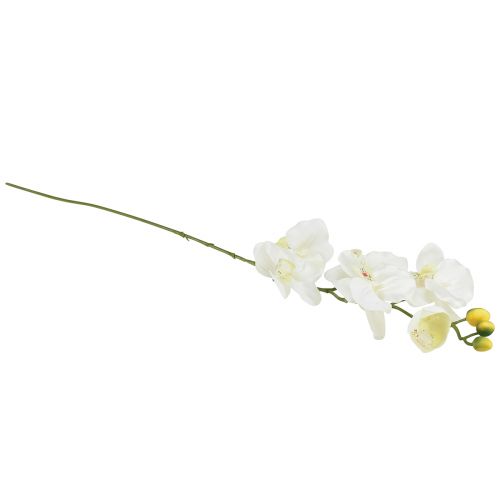 tételeket Orchidea Phalaenopsis mesterséges 6 virágú fehér krém 70cm