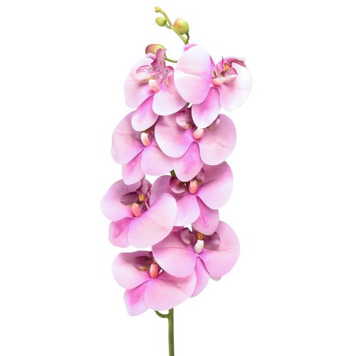 tételeket Orchidea Phalaenopsis mesterséges 8 virág rózsaszín 104cm