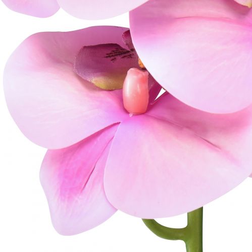 tételeket Orchidea Phalaenopsis mesterséges 8 virág rózsaszín 104cm
