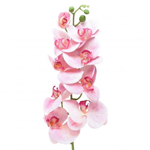 Orchidea Phalaenopsis mű 9 virág rózsaszín fehér 96cm