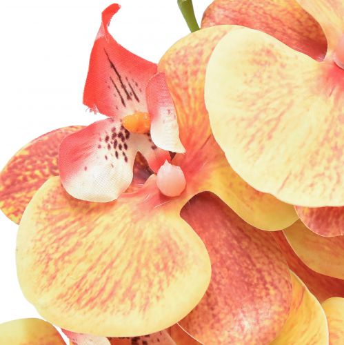 tételeket Orchidea Phalaenopsis mű 9 virág piros sárga 96cm