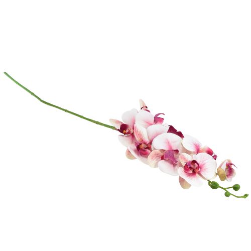 tételeket Orchidea Phalaenopsis mesterséges 9 virágú fehér fukszia 96cm
