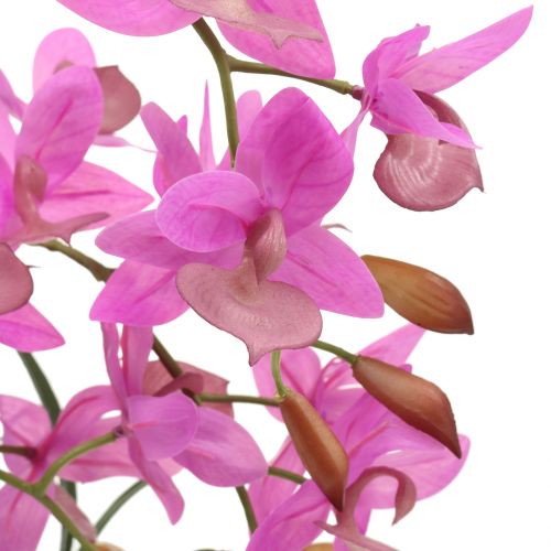 Floristik24 Orchidea ibolya cserépben H55cm