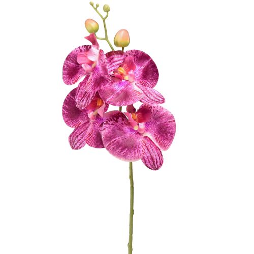 Floristik24 Orchidea lángos mesterséges Phalaenopsis lila 72cm