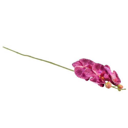 tételeket Orchidea lángos mesterséges Phalaenopsis lila 72cm