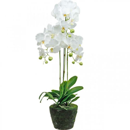tételeket Mesterséges orchideák a cseréphez fehér 80cm