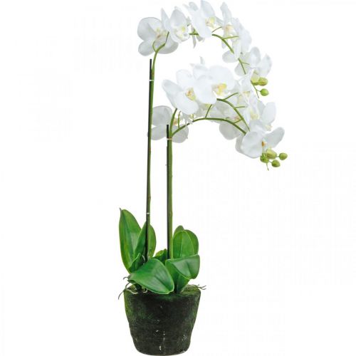 tételeket Mesterséges orchideák a cseréphez fehér 80cm