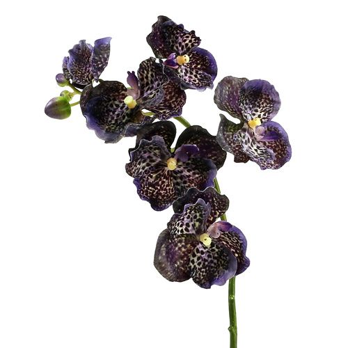 Floristik24 Orchidea Vanda műibolya L 44cm