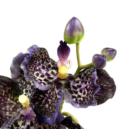 Floristik24 Orchidea Vanda műibolya L 44cm