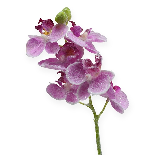 Orchidea csillámmal, rózsaszín 35cm